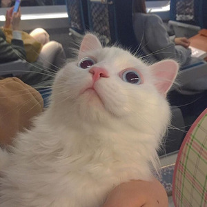 性丰满的岳㑄BBw
